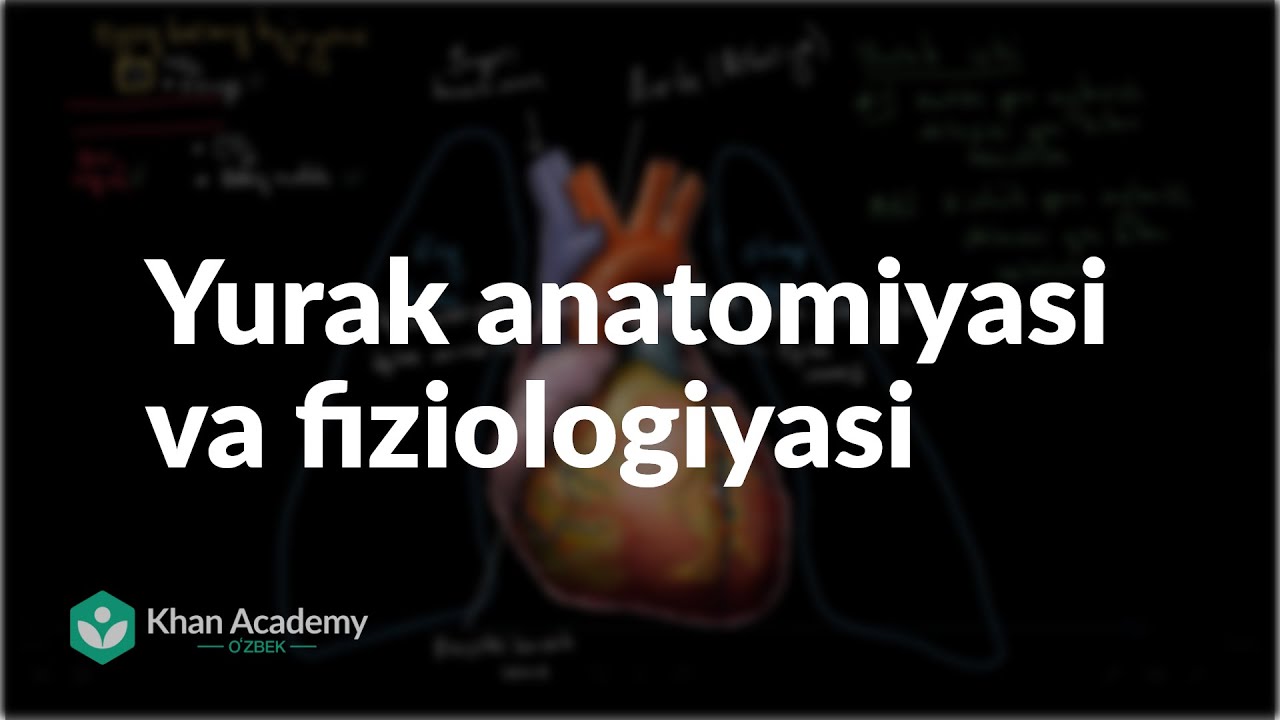 Yurak anatomiyasi va fiziologiyasi | Qon aylanish tizimi | Tibbiyot