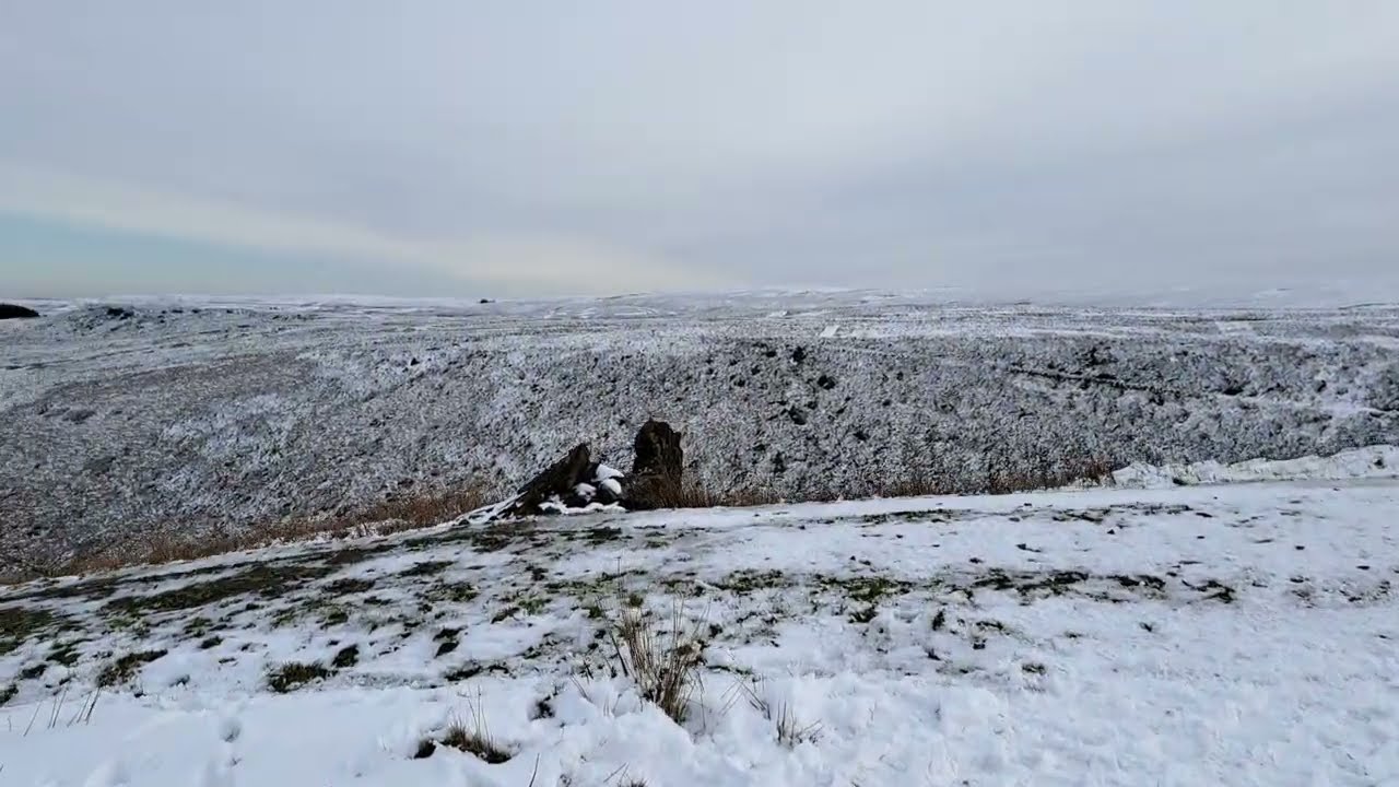 Teil LV: kleine winterliche Moorwanderung