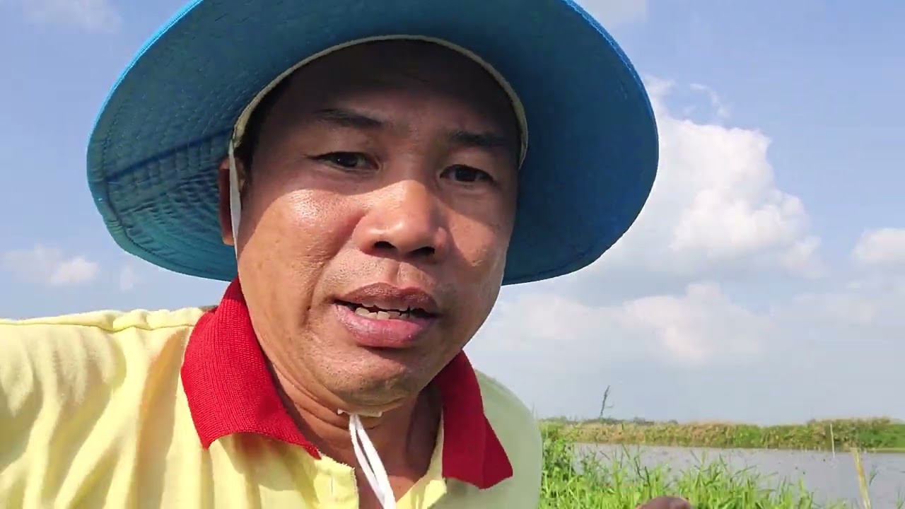 Chương trình nuôi tôm Thắp Sáng Ước Mơ,, vời tôm thả vuông nhà 