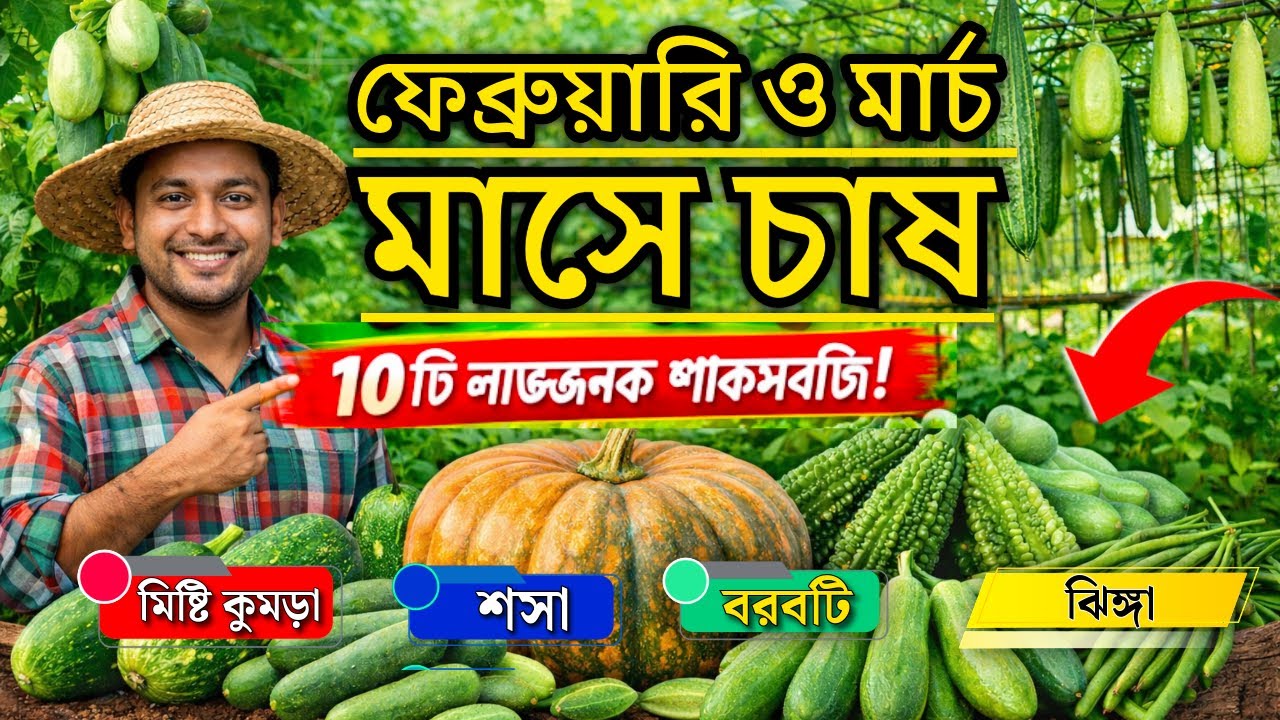 ফেব্রুয়ারির ও মার্চ মাসে এই ১০টি সবজি চাষ করুন | কম খরচে বেশি লাভ | Farming Tips