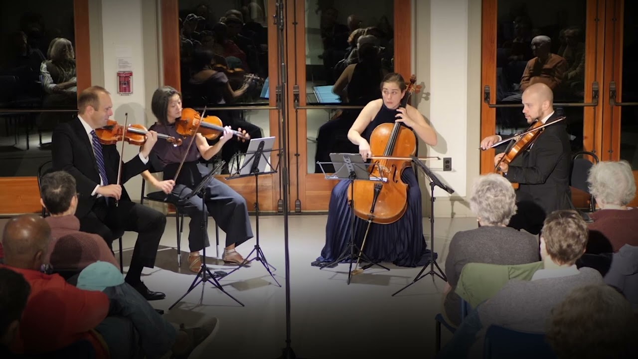 Dvořak Quartet No. 10 in E-Flat major, Op. 51 - I. Allegro ma non troppo