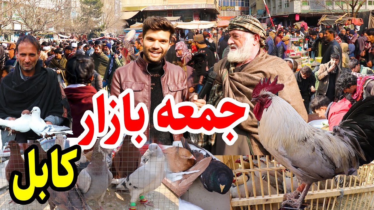 جمعه بازار پرنده فروشی/ قیمت های باورنکردنی/ شوقی ها/ Juma Bazar Kabul