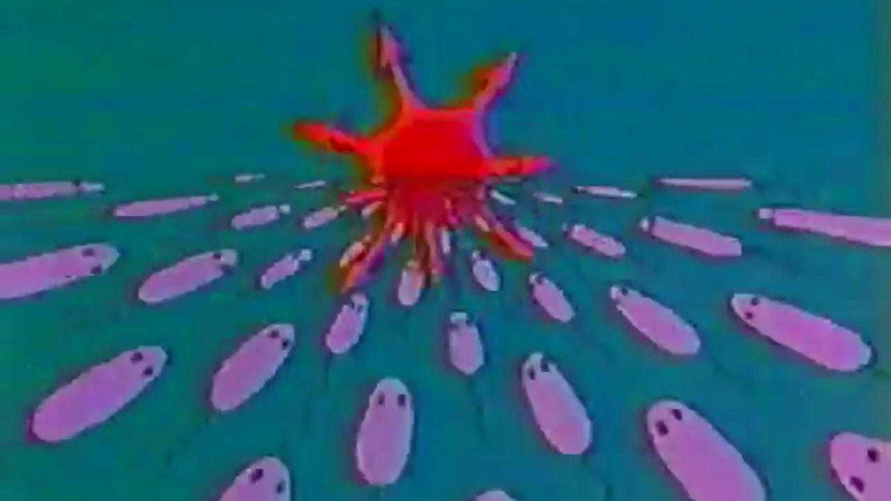 The Deviants - Slum Lord
