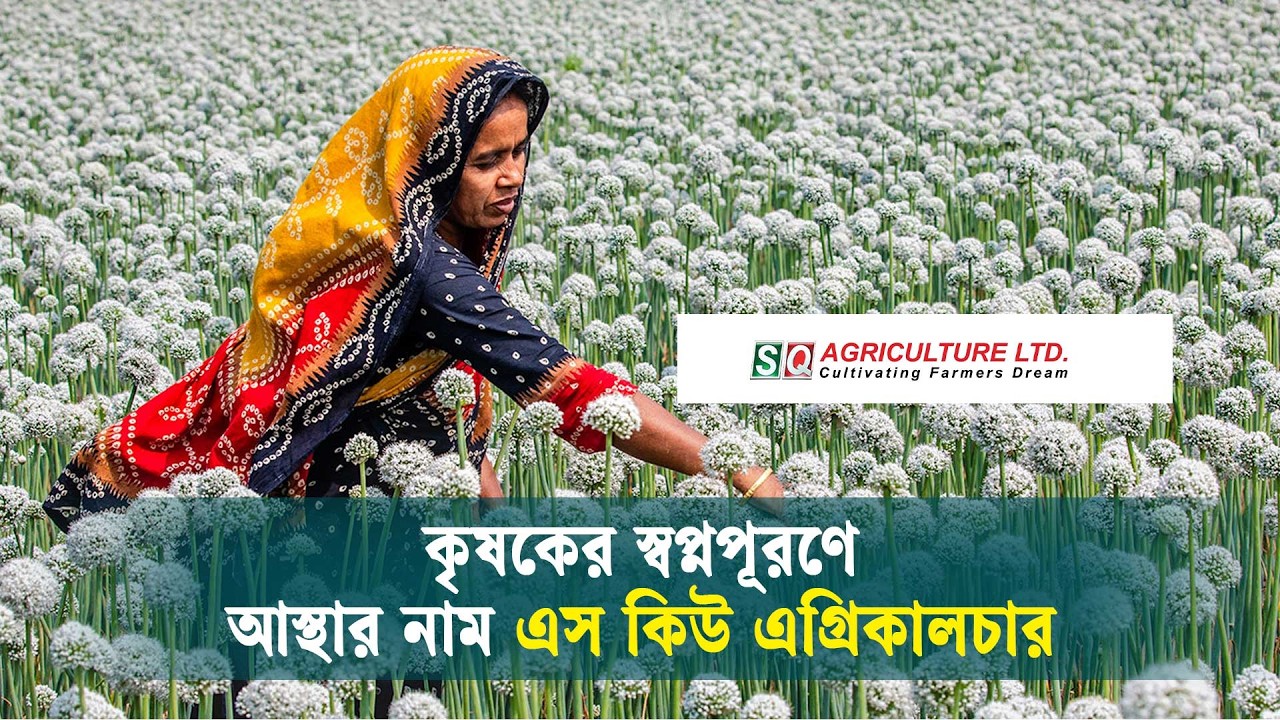 আধুনিক কৃষির পূর্ণাঙ্গ সমাধান এস কিউ এগ্রিকালচার | SQ Agriculture | Kaler Kantho