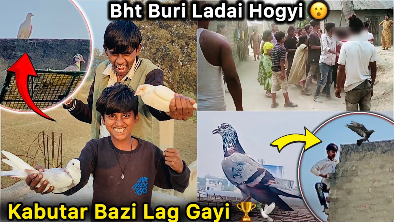 Aaj kabutar Baazi Lag Gayi 🤑 || Konn Jeetga Pigeon Competition 🏆 || Phadda Hogyaa 😳