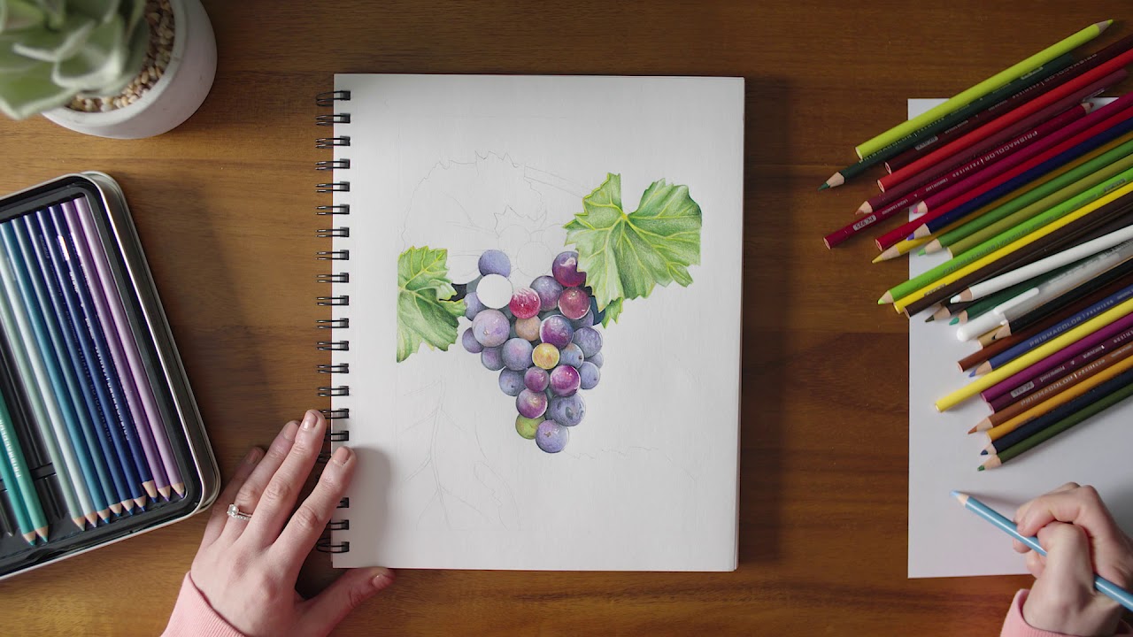 Colored Pencil Demonstration - Grapes