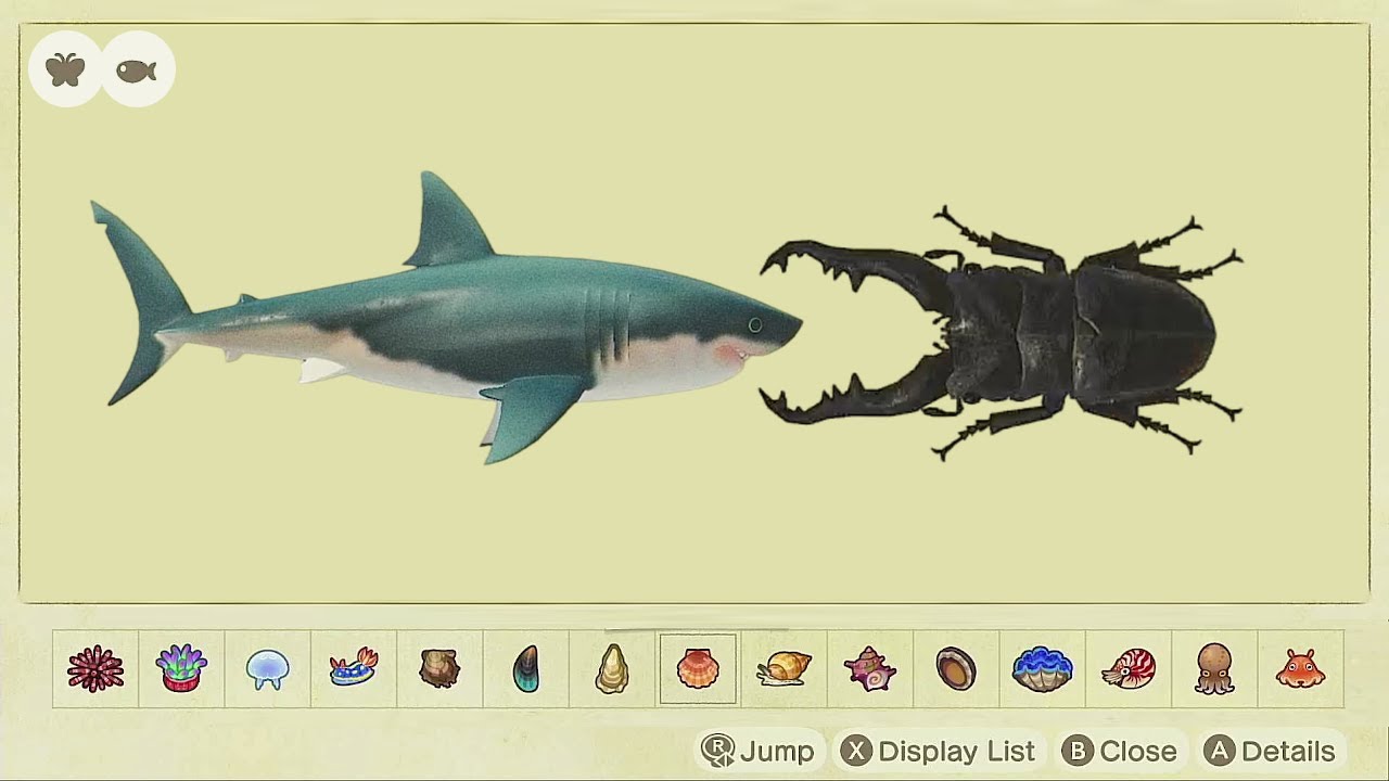 Top 10 Rarest Fish vs. Top 10 Rarest Bugs and How to Catch in ACNH