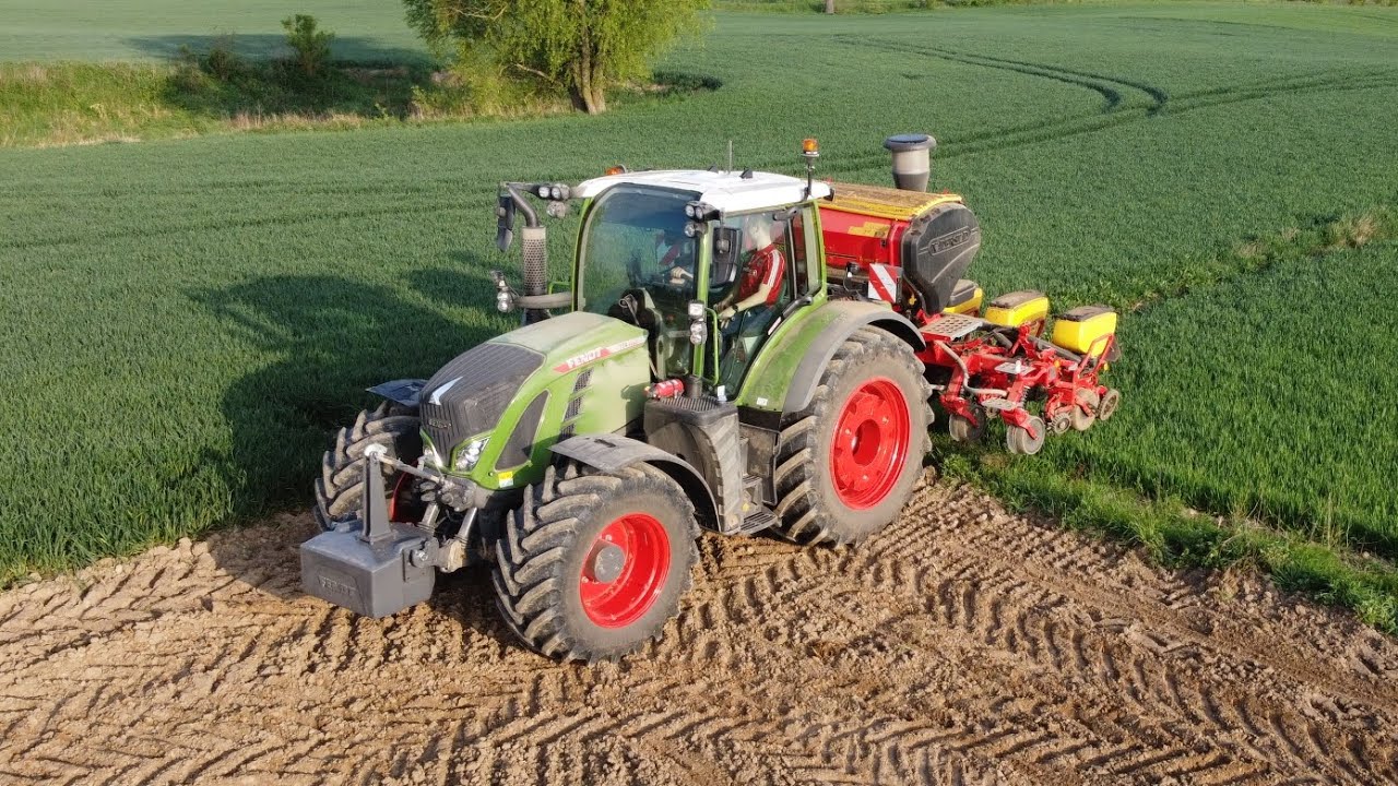 Siew kukurydzy 2025 z Global Rol | Fendt Vario 724 | Väderstad Tempo T6 🌽🌽🌽🌽🌽🌽
