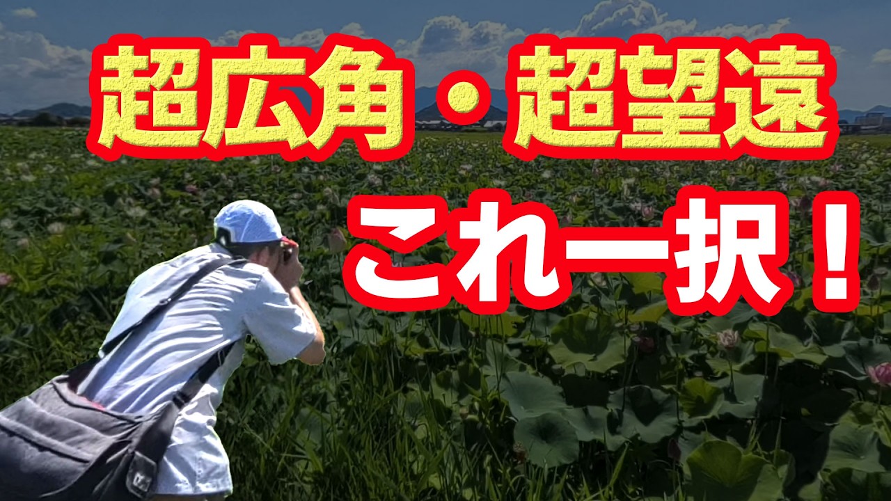 超広角と超望遠で十分。灼熱の中、可憐に咲く蓮の花。マイクロフォーサーズの廉価版レンズでどこまで迫れるかを検証します！