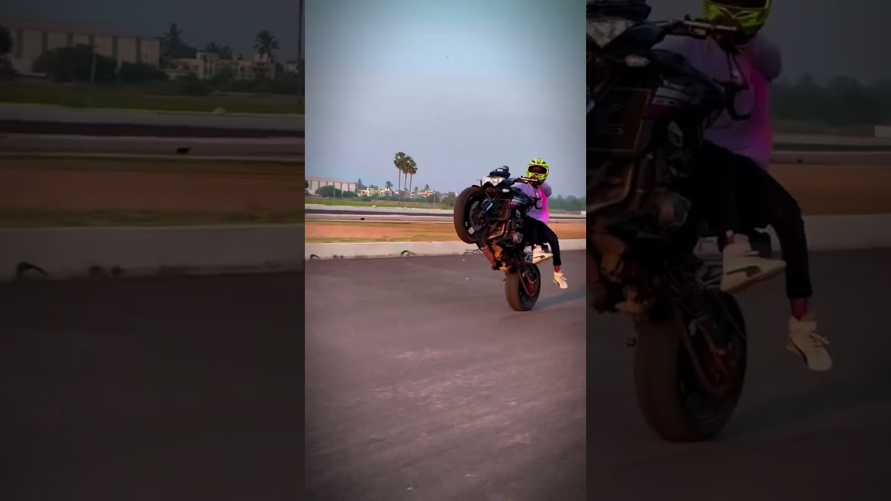 WHEELIE 😻