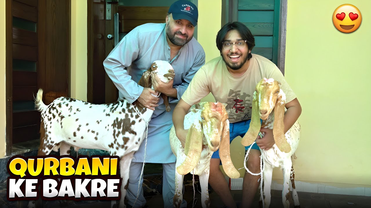 Qurbani ka Janwar Ly Ay Finally 😍 Kitnay Ma Soda Hova?