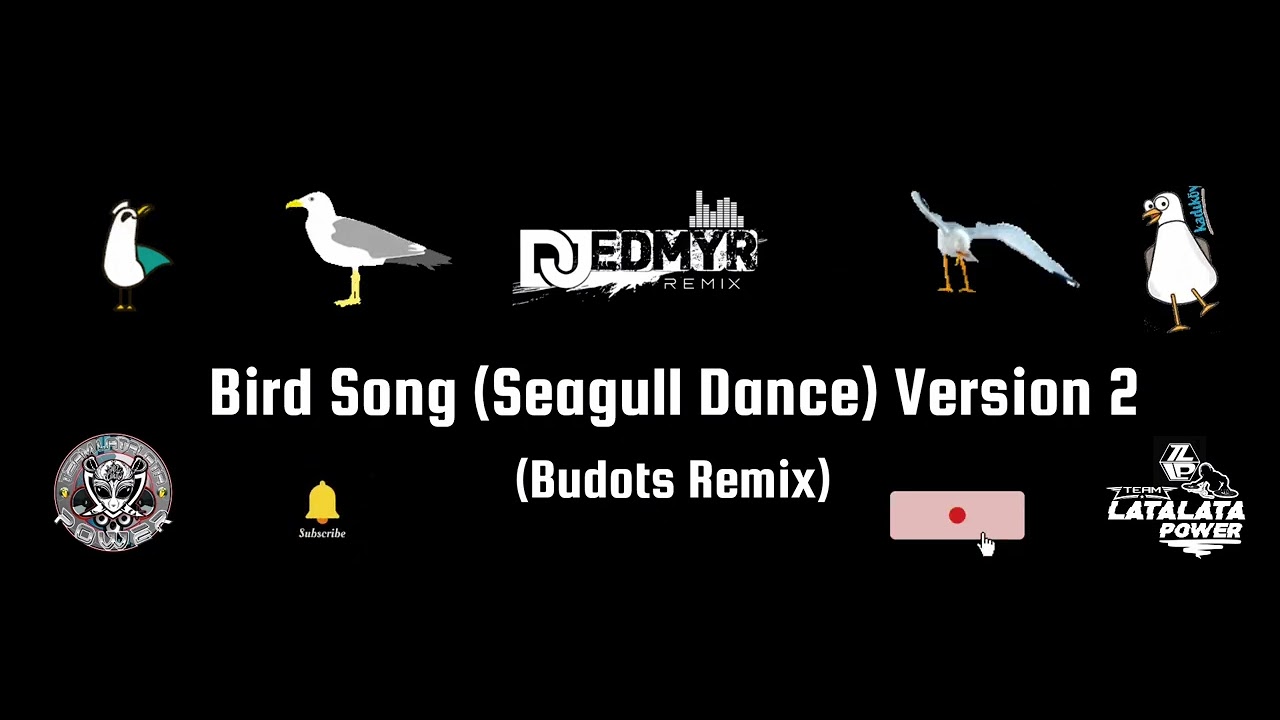 Bird Song (Seagull Dance) Version 2 ( Budots Remix ) | Dj Edmyr Remix