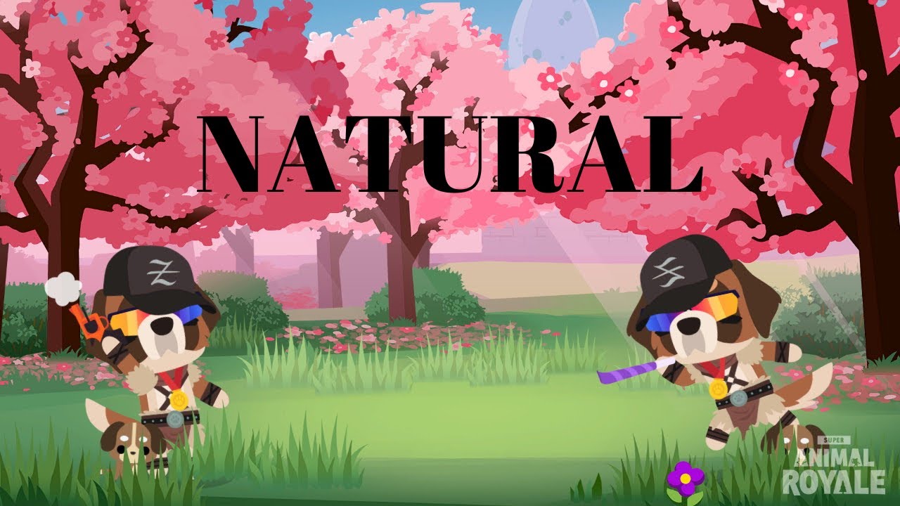 Natural | A SAR Montage #3