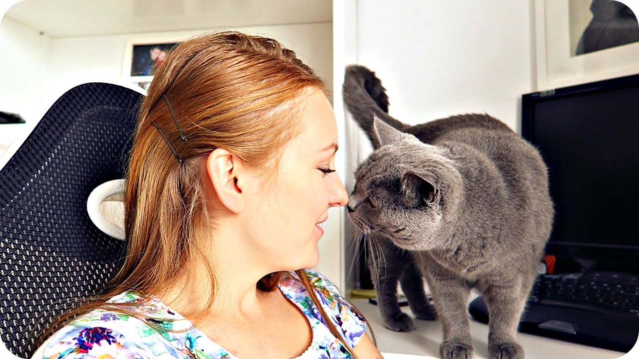 VLOG: У НАС ЛЮБОВЬ! 29.09.15