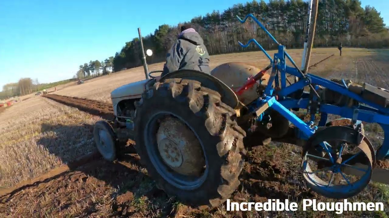 1955 Ferguson TEF20 2.1 LItre 4-Cyl Diesel Tractor (28 HP) Three Counties Ploughing Match 2025