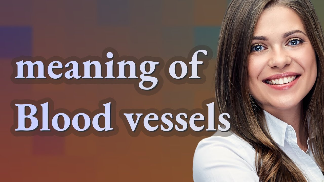 Blood vessels | meaning of Blood vessels