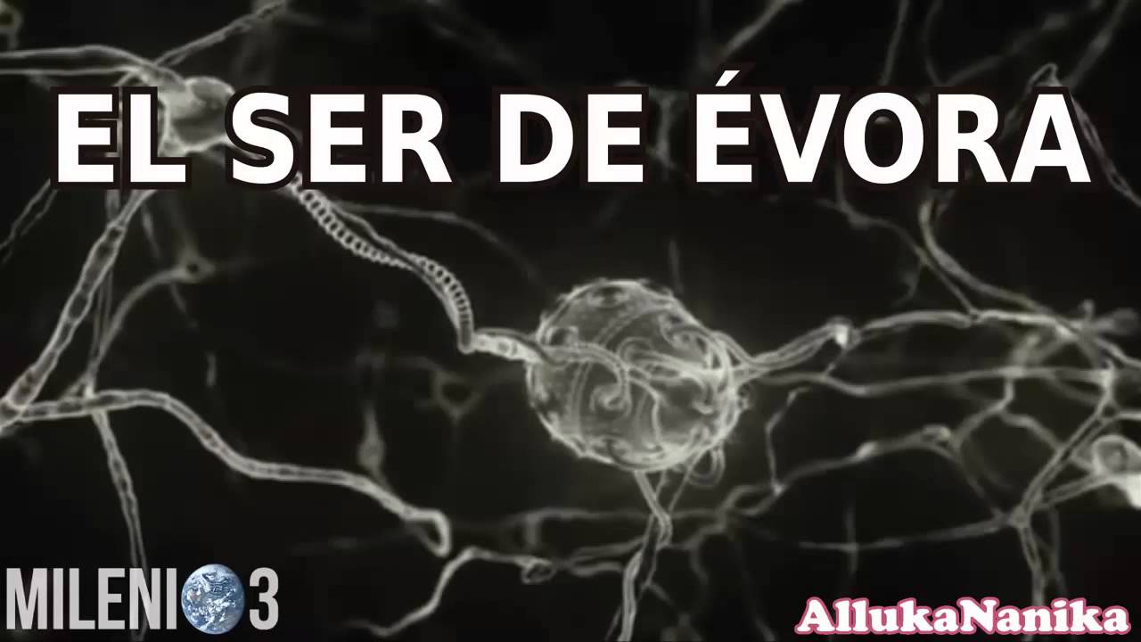 Milenio 3 - UFO Crash en Salta / El Ser de Évora / Niños Salvajes