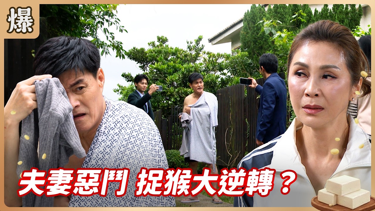 《八點檔搶先爆》豆腐媽媽 EP52 夫妻惡鬥 捉猴大逆轉？