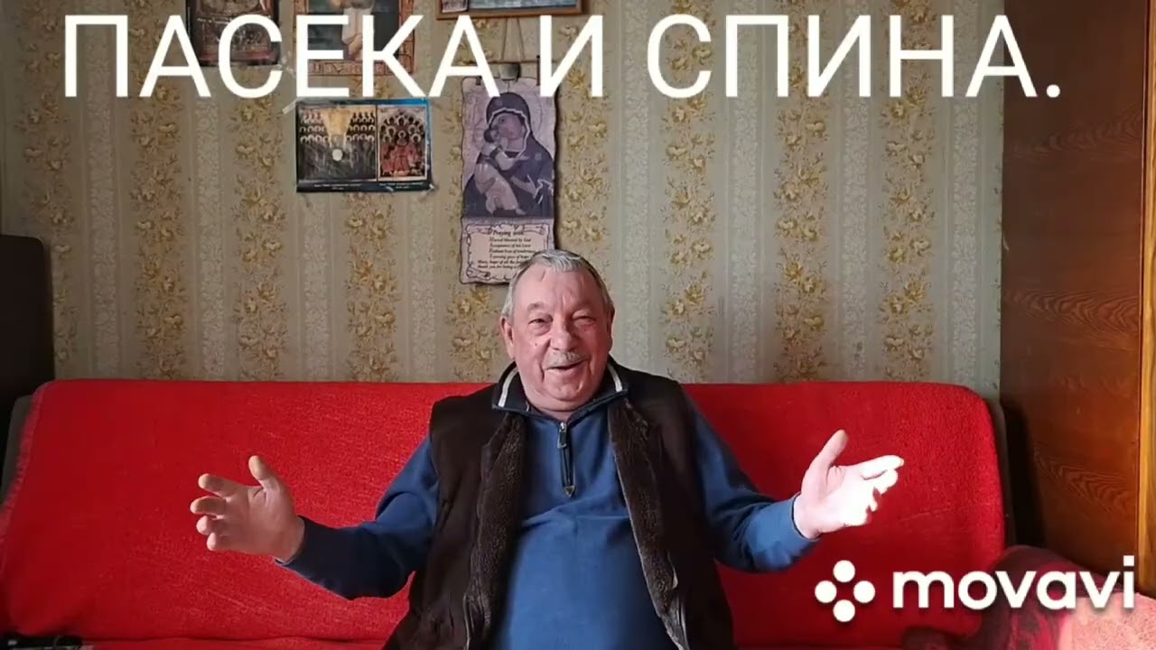 ПАСЕКА И СПИНА . 4 февраля 2026 г.