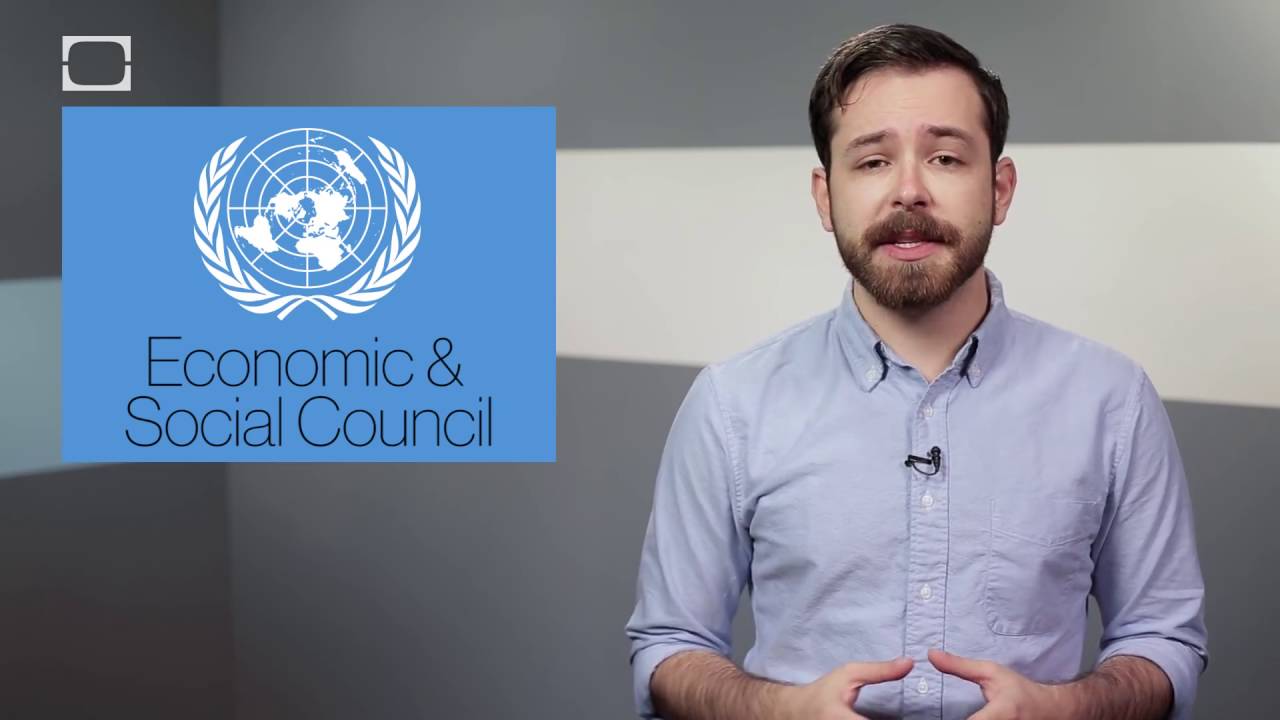 How Does The UN Work