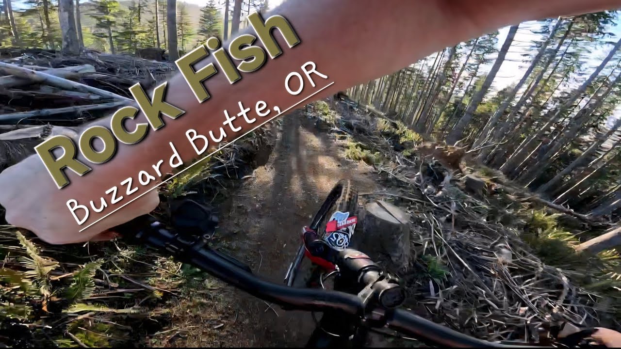 Incredible new MTB trails on the Oregon Coast!