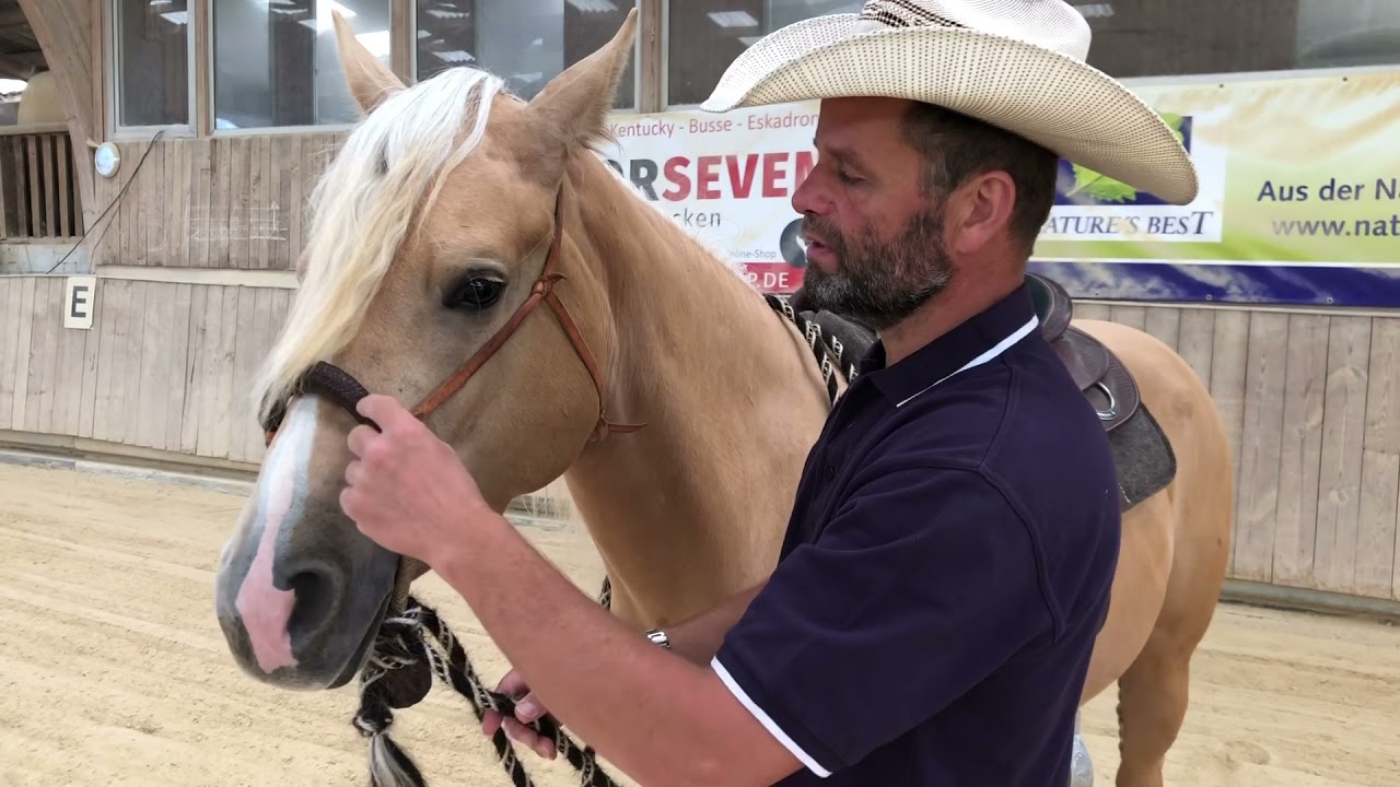 Reiten mit Hackamore