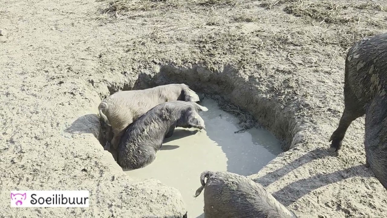 Badezeit für alle Teil 3