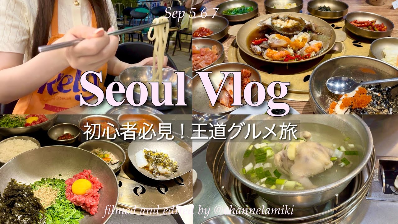 【韓国Vlog】ソウル旅行✨グルメ＆ショッピング完全ガイド🇰🇷✈️｜弘大・江南・明洞・漢南洞・東大門｜美容クリニック2軒｜서울 먹방 가이드