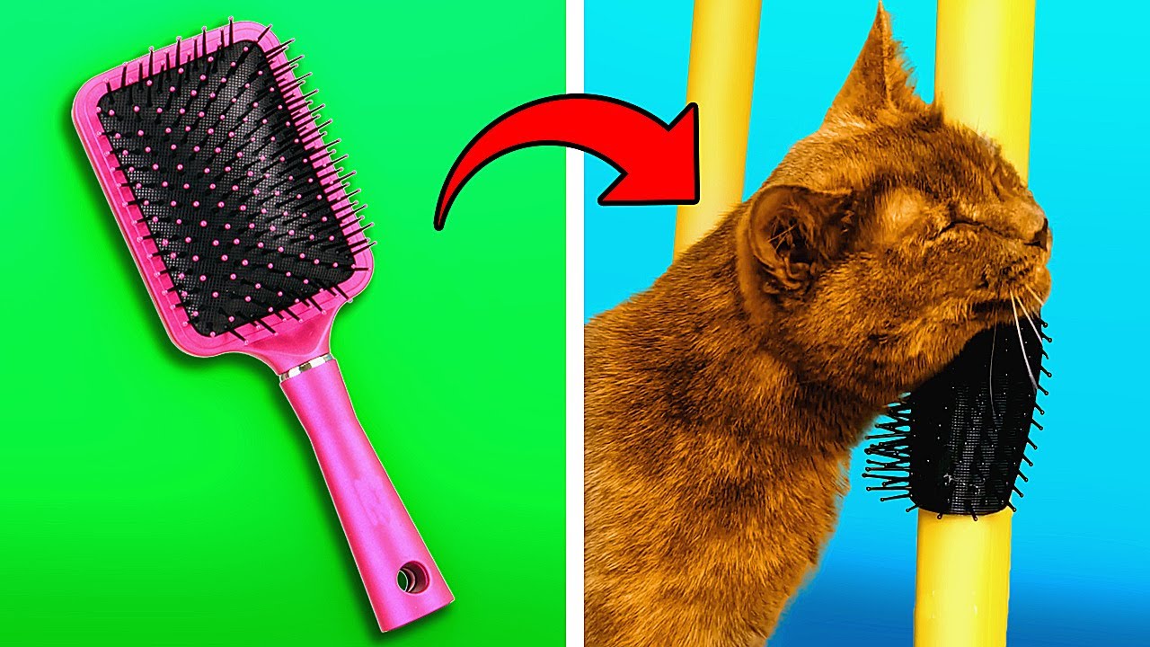 23 AMAZING LIFE HACKS FOR PET OWNERS