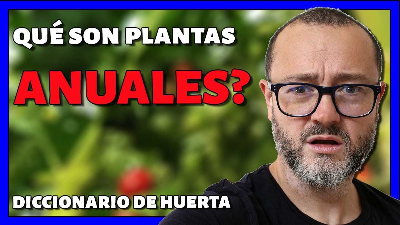 ✔Qu&eacute; son las Plantas ANUALES❓ Eso EXISTE❓ Y se COMEN❓ (DICCIONARIO DE HUERTA📕)