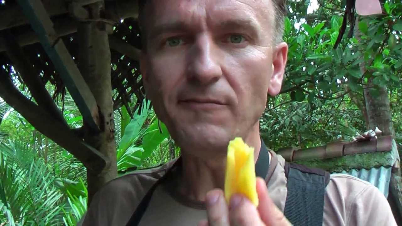 owoc drzewa chlebowego - jackfruit