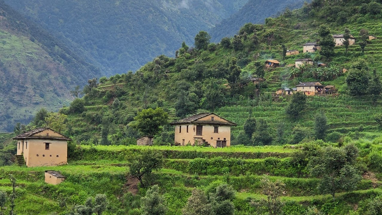 Most Relaxing Nepali Mountain Village Traditional Lifestyle | organic Food Cooking in Countryside
