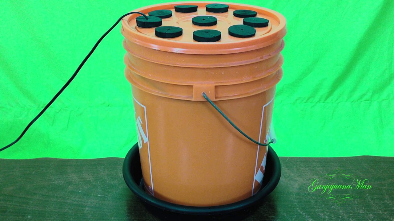 How to make the best Hydroponic Super Cloner
