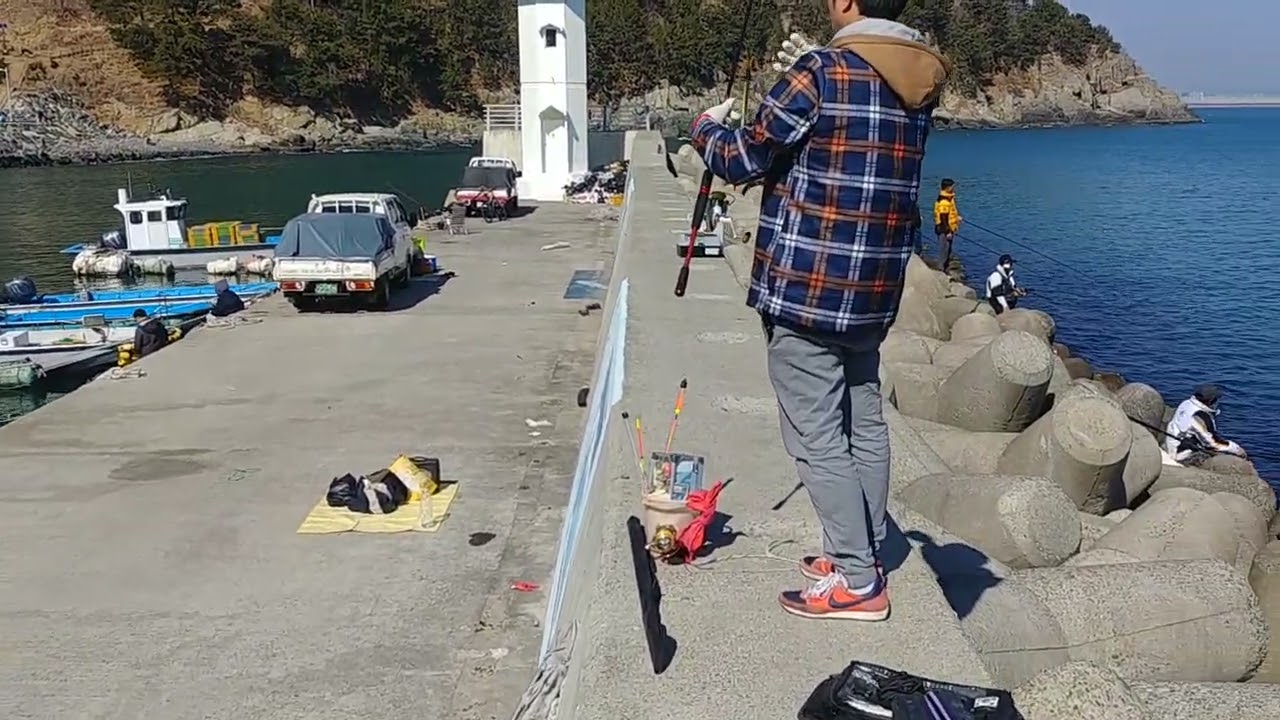 부산 가덕도 새바지  Busan Gadeokdo Daehang Saebagi Breakwater Hanghak Saury Fishing