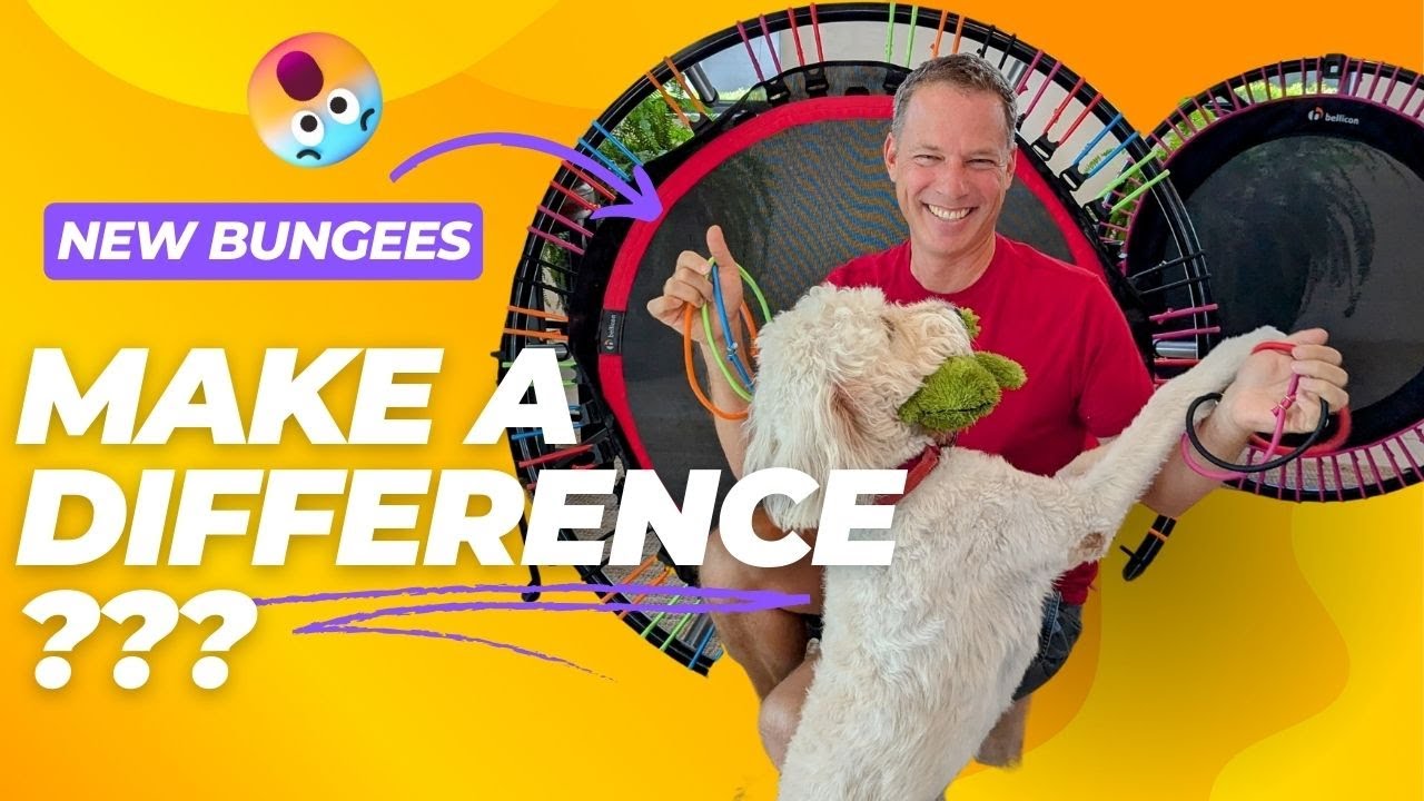 Do Fresh Bungees Amp Your Bounce?
