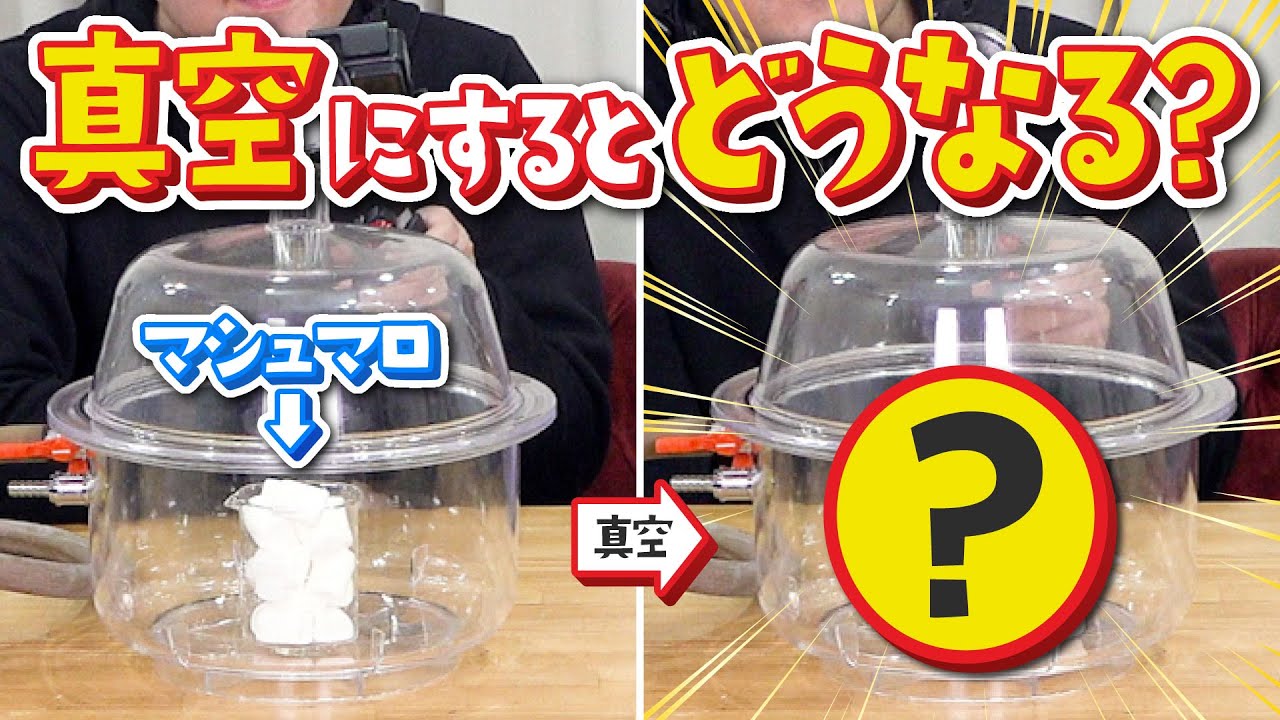 マシュマロを真空にしたらちぢむ？ふくらむ？【日本表面真空学会コラボ】