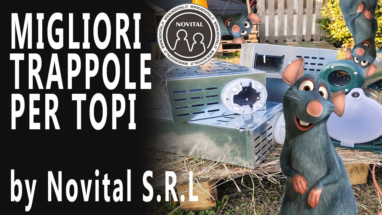 TRAPPOLA PER TOPI - ecco quale scegliere