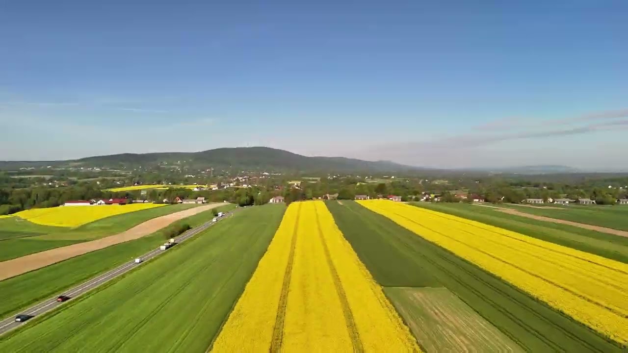 Wrząca Mójcza i rzepak pod Kaśką