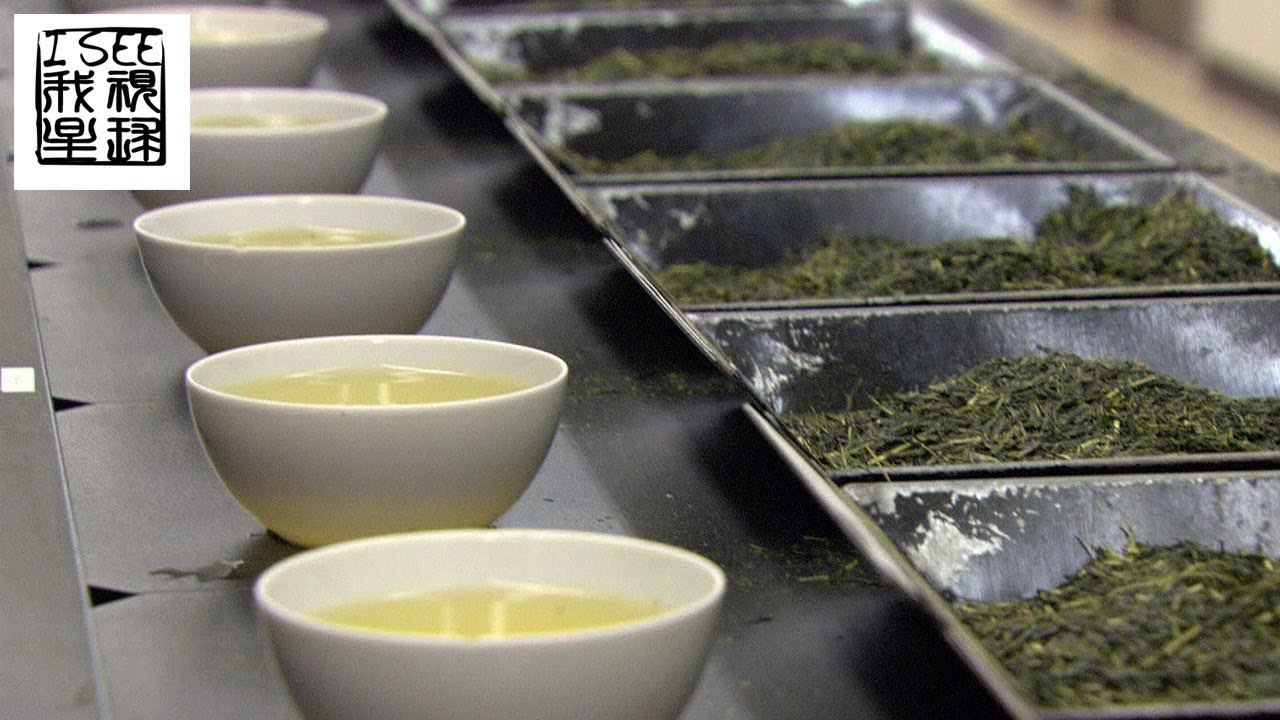 日本九州岛上最好的煎茶受廉价茶叶冲击惨淡经营