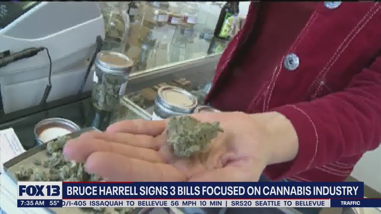 Seattle Mayor signs 3 bills on cannabis industry | FOX 13 Seattle