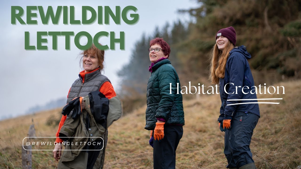 Building Habitat Piles at Rewilding Lettoch