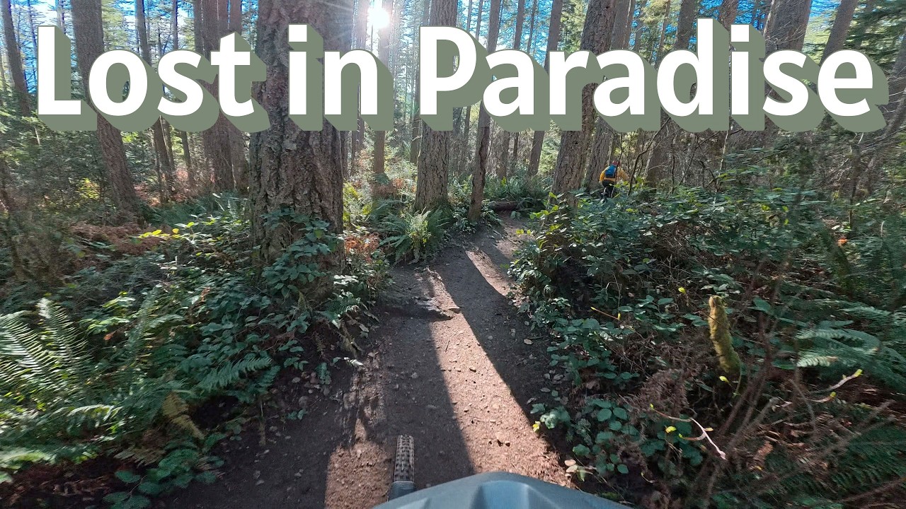 Lost in Paradise