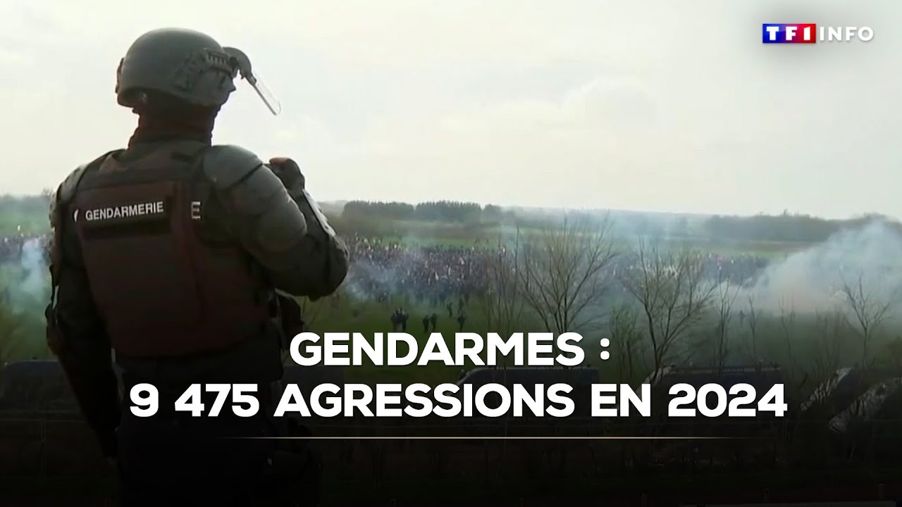 Gendarmes : 9 475 agressions en 2024｜TF1 INFO