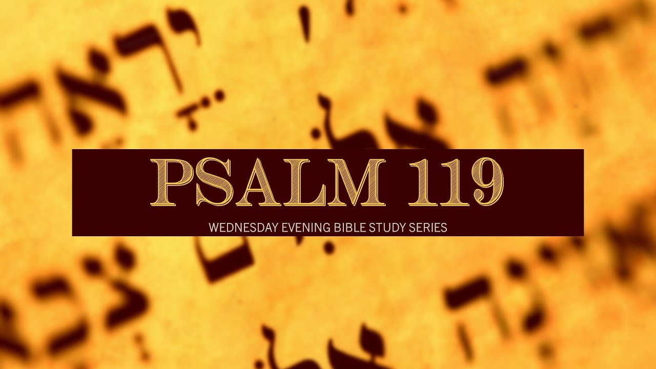 Psalm 119 [Part 7] (1/28/2026)