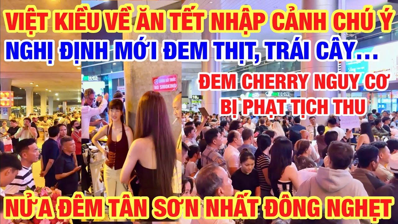 NHẬP CẢNH VIỆT NAM ĐEM THỊT TRÁI CÂY NGUY CƠ PHẠT TỊCH THU THEO NGHỊ ĐỊNH MỚI NỬA ĐÊM S.BAY QUÁ ĐÔNG