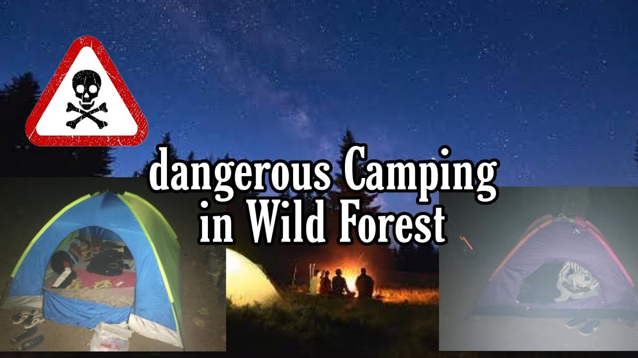 Night Camping in wild forest ! My First time Night Camping in Jungle experience 