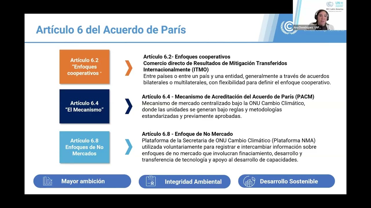 Desaf&iacute;os y oportunidades para los pa&iacute;ses en desarrollo en los ART 5 y 6 del Acuerdo de Par&iacute;s