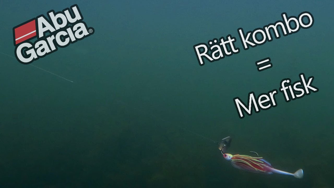 Rätt kombination = Mer fisk