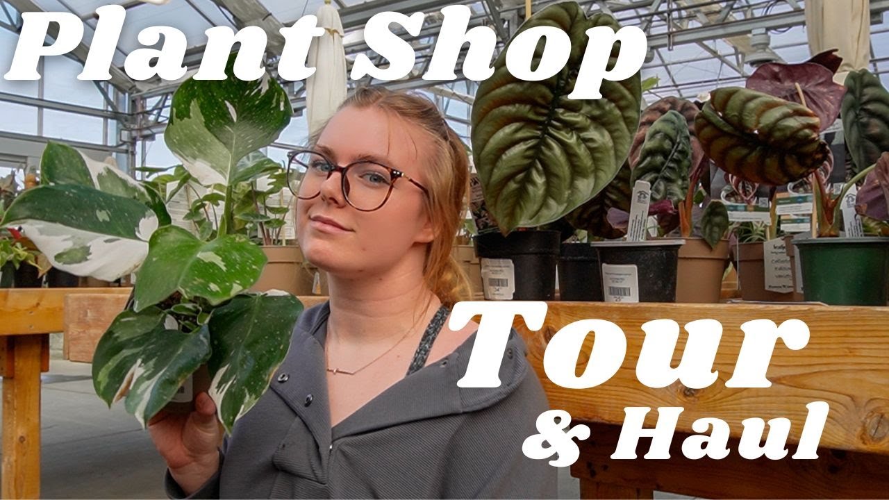 Rare & Exciting Houseplant Shop Nursery Tour & Haul! Go Houseplant Shopping With Me! ♥
