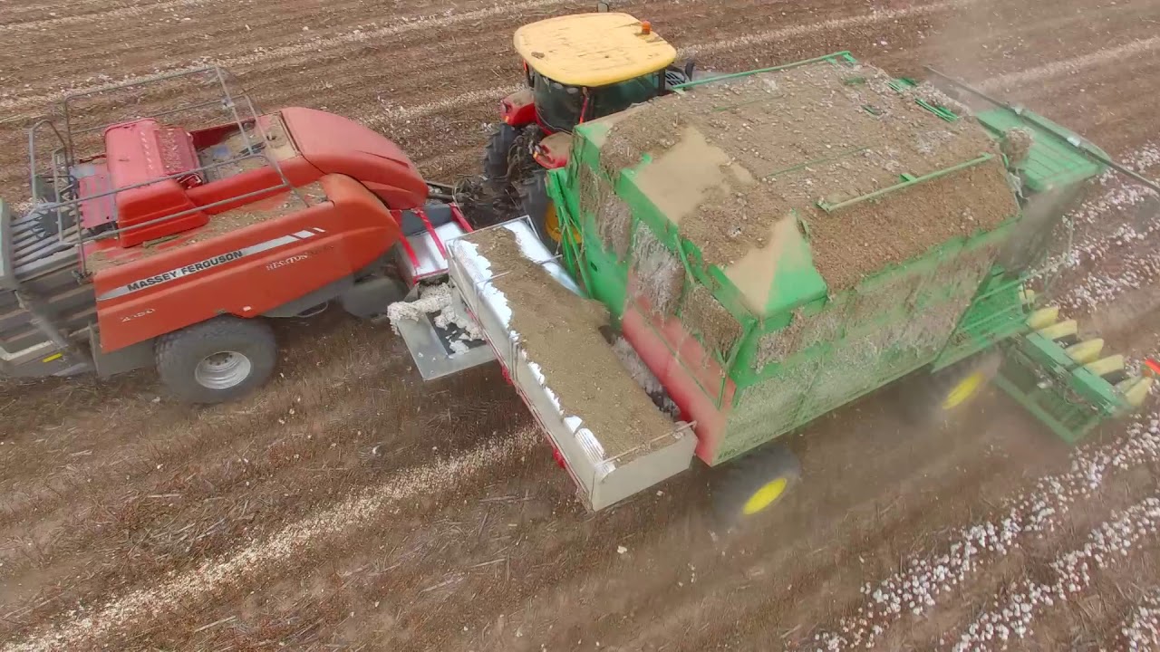 Square baling cotton on the high plains